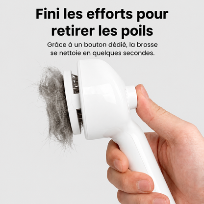PawGlow™ – La solution de toilettage sans eau pour votre chien