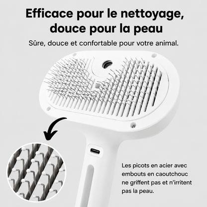 PawGlow™ – La solution de toilettage sans eau pour votre chien