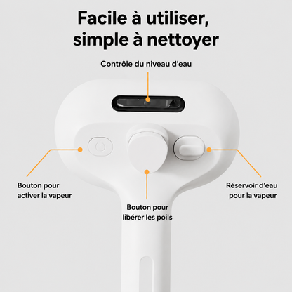 PawGlow™ – La solution de toilettage sans eau pour votre chien