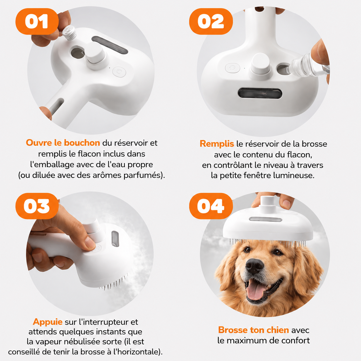 PawGlow™ – La solution de toilettage sans eau pour votre chien