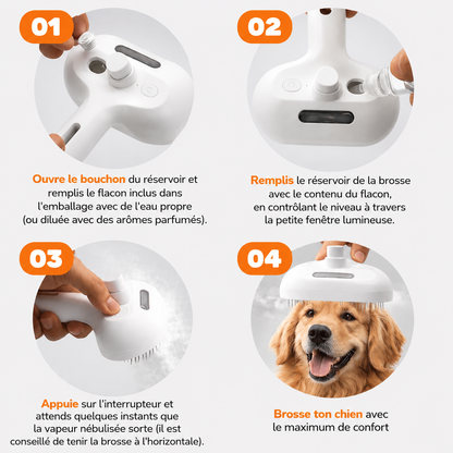 PawGlow™ – La solution de toilettage sans eau pour votre chien