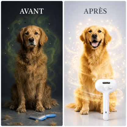 PawGlow™ – La solution de toilettage sans eau pour votre chien